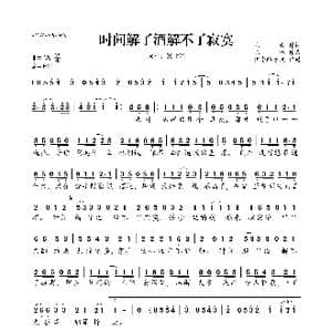 时间解了酒解不了寂寞_歌曲简谱_词曲:见青 陈伟