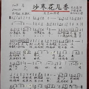 沙枣花儿香_歌谱投稿_词曲:党永庵 尹晓星