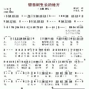 银杏树生长的地方_歌谱投稿_词曲:郝立轩 石金城
