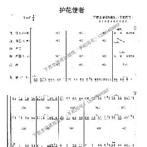 护花使者_歌曲简谱_词曲:林利南 怡正宵