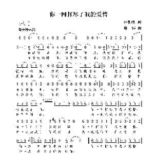 你一网打尽了我的爱情_歌曲简谱_词曲:孙朝成 谢伟