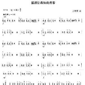 二胡谱 | 摇滚让我如此青春 王莉莉