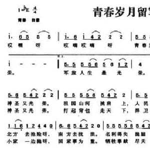 青春岁月留军营_民歌简谱_词曲:唐生瑜 李磊