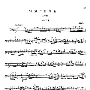 第二奏鸣曲 b小调 大提琴 亨德尔