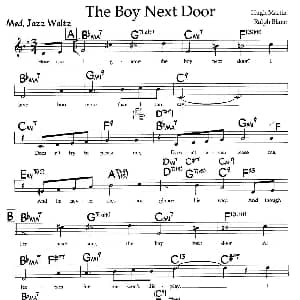 The Boy Next Door 钢琴谱