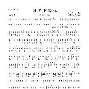 月光下等你_歌曲简谱_词曲:余恒锋 余恒锋