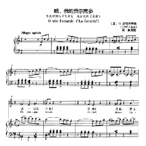 哦,我的费尔南多 意大利 _外国歌谱_词曲: 意 G.多尼采蒂