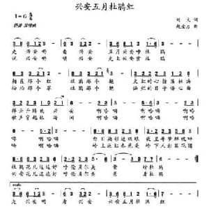 兴安五月杜鹃红_民歌简谱_词曲:刘文 赵金力