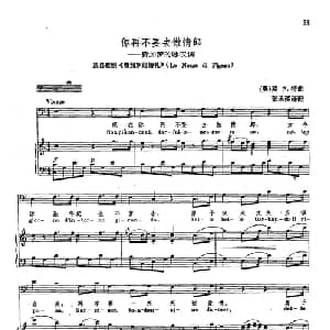 声乐教学曲库2 9你再不要去做情郎 奥地利 _外国歌谱_词曲: 奥 W.莫扎特