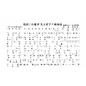 越剧谱 | 越剧 红楼梦&天上掉下个林妹妹