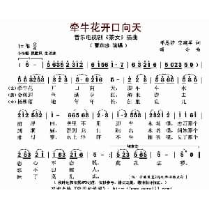 牵牛花开口向天 钢琴谱 邓慈煌 宗建军 颂今 陈述刘