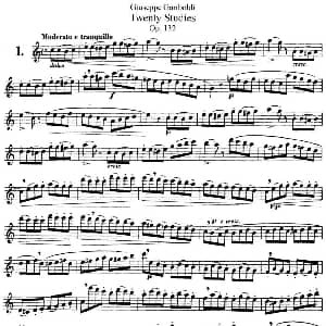 长笛曲谱 | 二十首练习曲作品132号之1 Garibold 加里波第