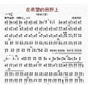 在希望的田野上_歌曲简谱_词曲: 李国林配器