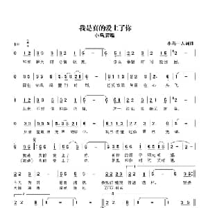 我是真的爱上了你_通俗唱法乐谱_词曲:小鸟一人 小鸟一人