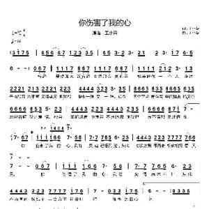 你伤害了我的心_歌曲简谱_词曲:王小荣 王小荣