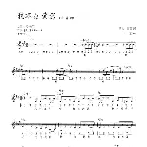 电子琴谱 | 我不是黄蓉 线简混排弹唱谱 李敏 王蓉 王蓉