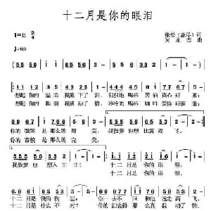 十二月是你的眼睛_通俗唱法乐谱_词曲:张松 黄永杰