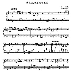 我很丑 但是我很温柔 钢琴谱 赵传曲 孙维权