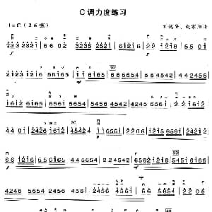 二胡谱 | C调力度练习 刘安逸 赵寒阳