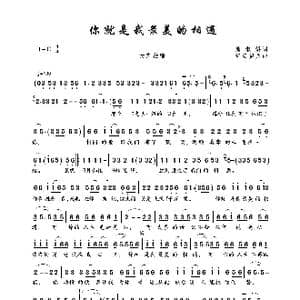 你就是我最美的相遇_歌曲简谱_词曲:熊淑娇词 轻云望月