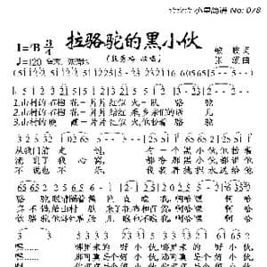 拉骆驼的黑小伙_歌曲简谱_词曲:敏岐 张颂