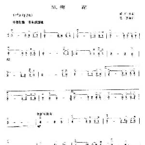 二胡谱 | 梅花 梁乐音作曲版 梁乐音曲 王懳编曲