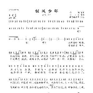 驭风少年_歌曲简谱_词曲:雨狸 DELA