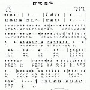 回家过年_通俗唱法乐谱_词曲:乔泽涛 南风