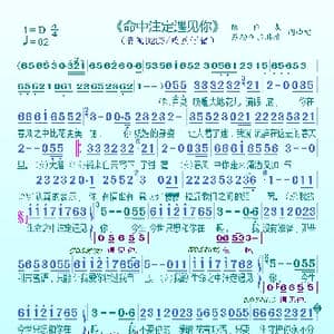 命中注定遇见你_歌曲简谱_词曲:陈雅森&苏勒亚其其格 陈雅森&苏勒亚其其格