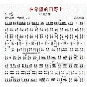 在希望的田野上_歌曲简谱_词曲: 李国林配器