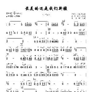 最美的还是我们新疆_歌谱投稿_词曲:赵思思 武布力 托乎提