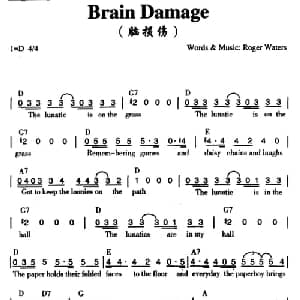 Brain Damage_外国歌谱