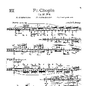 53首以肖邦练习曲为素材而作的练习曲 钢琴谱 里奥鲍尔德 戈多夫斯基