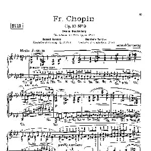 53首以肖邦练习曲为素材而作的练习曲 钢琴谱 里奥鲍尔德 戈多夫斯基