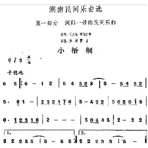 小梧桐 湖南民间乐曲选 洪滔 贾古记谱