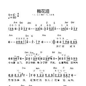 梅花泪_歌谱投稿