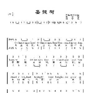 圣诞树_歌谱投稿_词曲:张馨译 张宁配