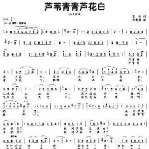 芦苇青青芦花白_民歌简谱_词曲:葛逊 徐新园