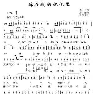 你在我的记忆里_歌谱投稿_词曲:修立 亦弛
