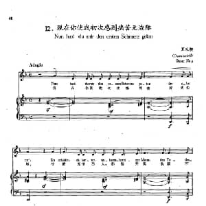 12现在你使我初次感到痛苦无边际 德国 _外国歌谱_词曲:夏米梭 舒曼