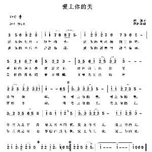 爱上你的美_歌曲简谱_词曲:胡琳 胡润华