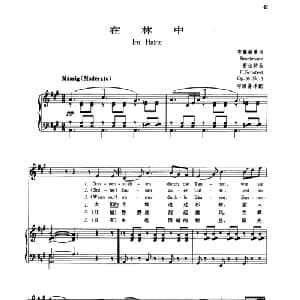 在林中_外国歌谱_词曲:布鲁赫曼 舒伯特