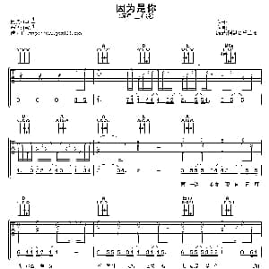 因为是你 吉他谱 王心凌 阿潘音乐工场
