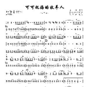 可可托海的牧羊人_歌曲简谱_词曲:王琪 王琪