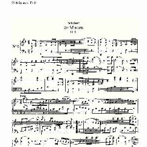 20 Minuets D.41 20米奴哀小步舞曲D.41