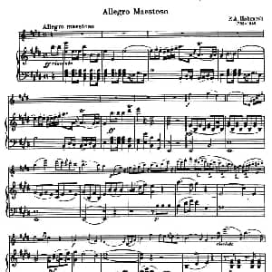 小提琴谱 | ALLEGRO MAESTOSO 庄严的快板 小提琴 钢琴伴奏 阿贝尼克 HABENECK