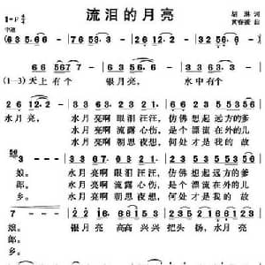 流泪的月亮_通俗唱法乐谱_词曲:胡琳 黄春媛