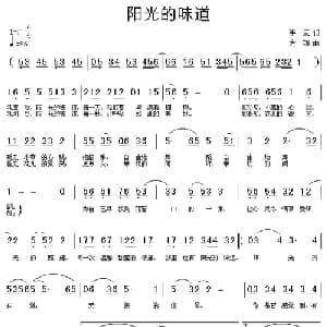 阳光的味道_通俗唱法乐谱_词曲:手辰 方翔