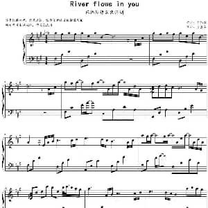 River flows in you 钢琴谱 李闰珉作曲 金龙鱼优化