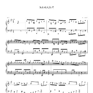 狂热的火把节 钢琴谱 张延泽